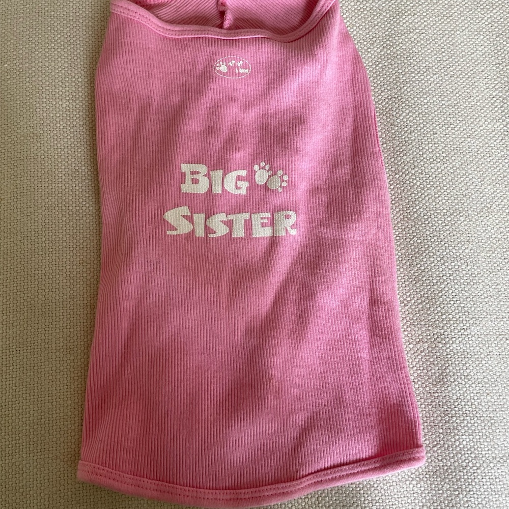 Big Sister Pink Dog Shirt